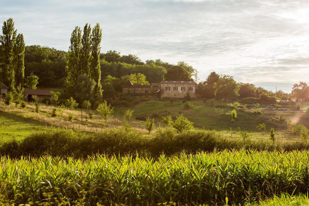 Hôtel La Ferme De Cagnolle à Saint-Amand-de-Belvès Extérieur photo