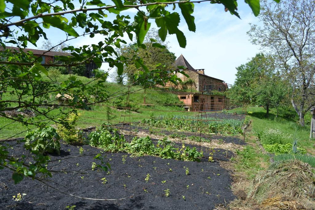 Hôtel La Ferme De Cagnolle à Saint-Amand-de-Belvès Extérieur photo